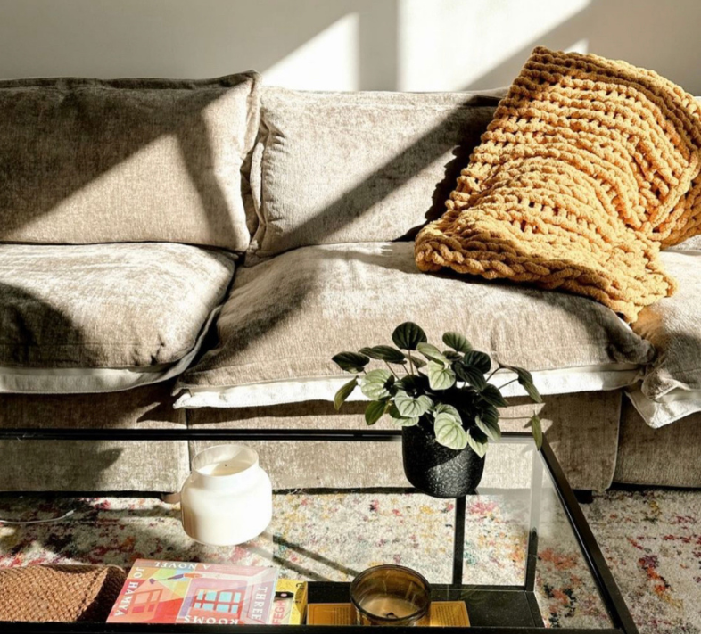 Is Velvet a Good Choice For the Sofa?
